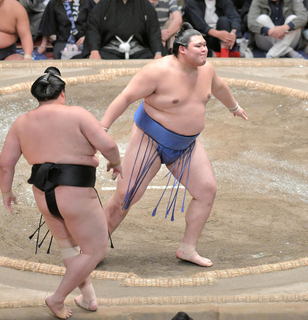 大の里が2場所連続の優勝 横綱昇進は決定的